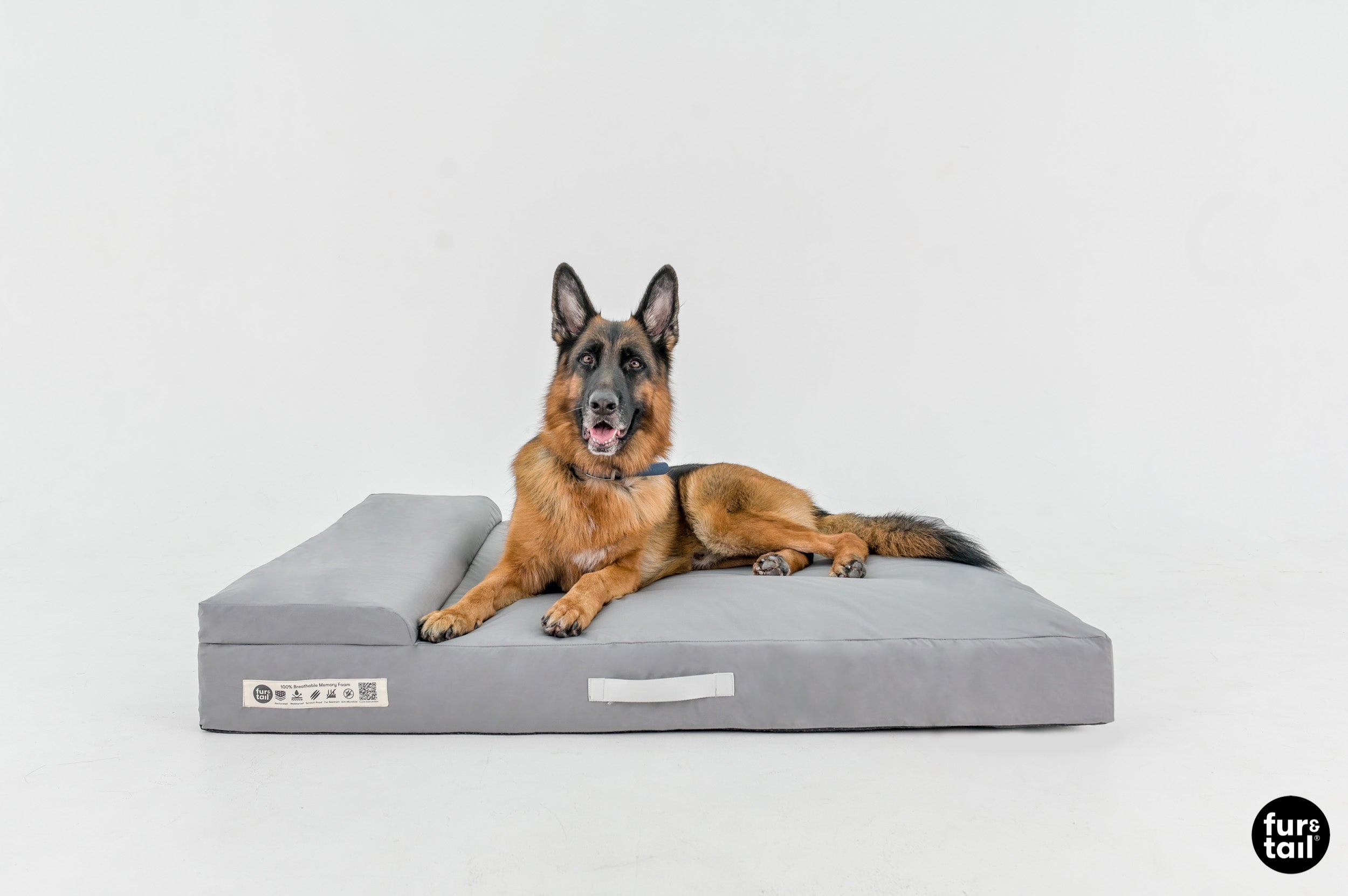 Load video: Fur&amp;Tail Pet Bed