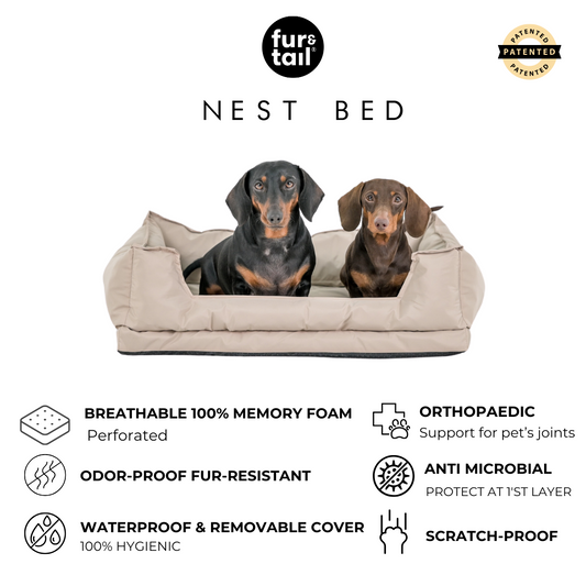 NEST BED